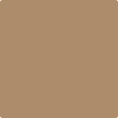 HC-46: Jackson Tan a paint color by Benjamin Moore avaiable at Clement's Paint in Austin, TX.