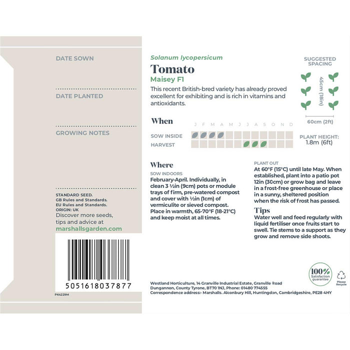 Tomato Seeds Cordon 'Maisey' F1