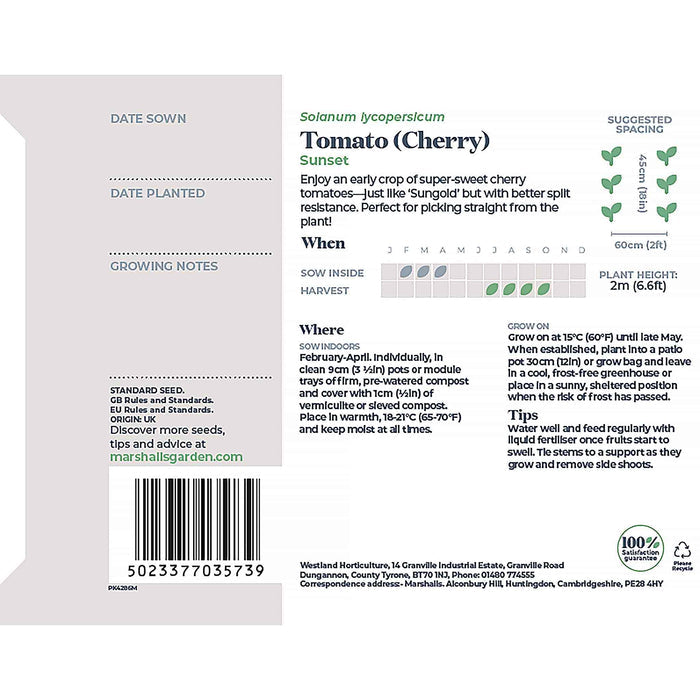 Tomato Seeds 'Sunset'