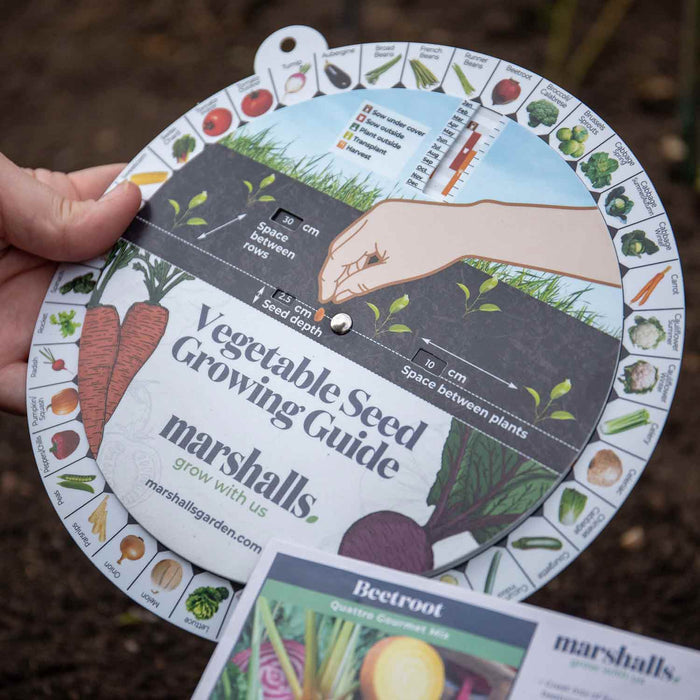 Vegetable Seed Guide Wheel
