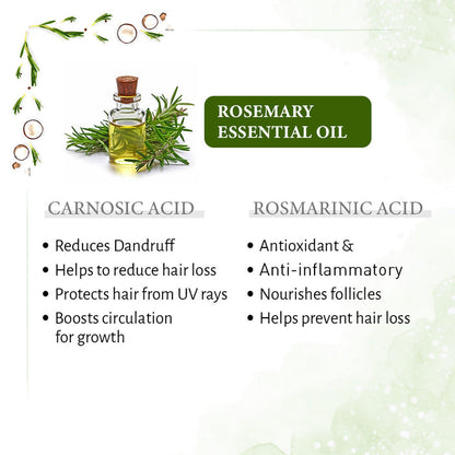 1% Rosemary with 99% Coconut Oil – Cold-Pressed, Promotes Hair Growth, Blocks DHT & Controls Hair Fall - Keya Seth Aromatherapy