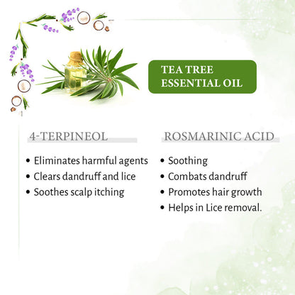 1% Tea Tree & 99% Coconut Oil – Cold Pressed, Promotes Hair Growth, Controls Hair Fall, Dandruff & Lice, Soothes Itching - Keya Seth Aromatherapy