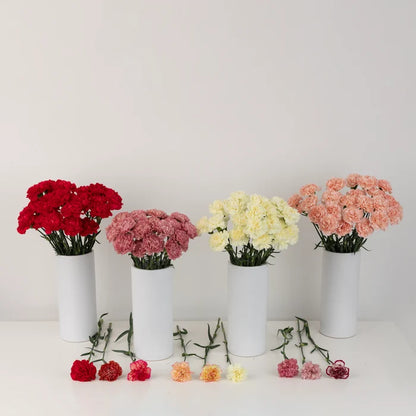 100 Carnations For Mother's Day Apron - Image