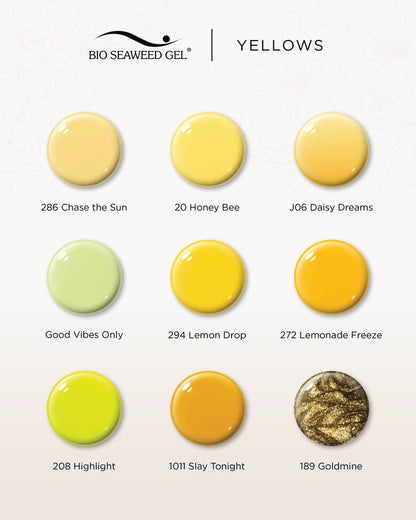 J06 Daisy Dreams - Bio Seaweed Gel USA