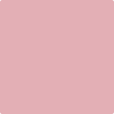 2005-50: Pink Eraser  a paint color by Benjamin Moore avaiable at Clement's Paint in Austin, TX.