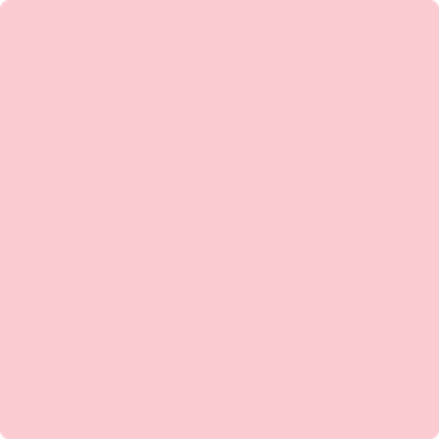 2007-60: Pastel Pink  a paint color by Benjamin Moore avaiable at Clement's Paint in Austin, TX.
