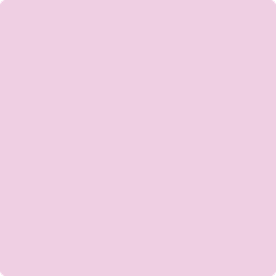 2074-60: Bunny Nose Pink  a paint color by Benjamin Moore avaiable at Clement's Paint in Austin, TX.