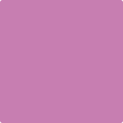 2075-40: Pink Raspberry  a paint color by Benjamin Moore avaiable at Clement's Paint in Austin, TX.