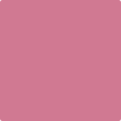 2080-40: Wild Pink  a paint color by Benjamin Moore avaiable at Clement's Paint in Austin, TX.