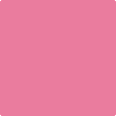 2086-40: Deep Carnation  a paint color by Benjamin Moore avaiable at Clement's Paint in Austin, TX.