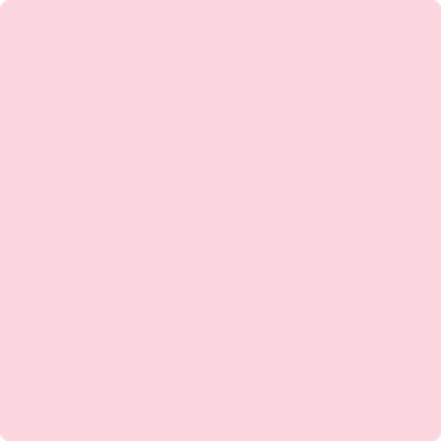 2087-60: Ribbon Pink  a paint color by Benjamin Moore avaiable at Clement's Paint in Austin, TX.