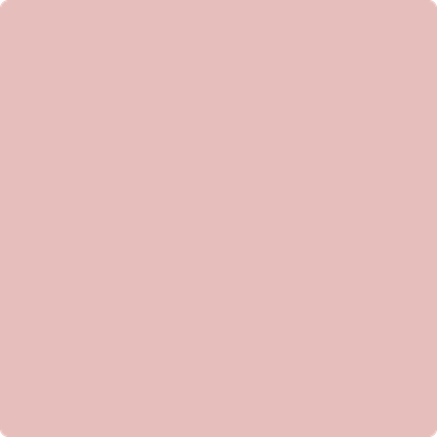 2093-50: Camellia Pink  a paint color by Benjamin Moore avaiable at Clement's Paint in Austin, TX.