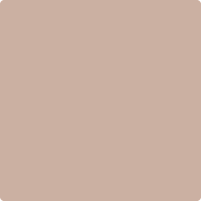 2096-50: Light Cappuccino  a paint color by Benjamin Moore avaiable at Clement's Paint in Austin, TX.