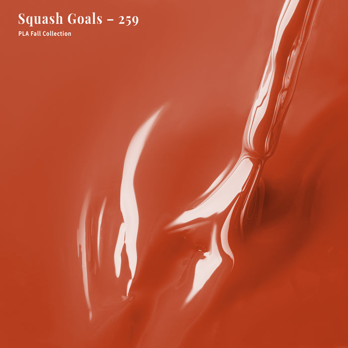 4-in-1 Squash Goals - 259