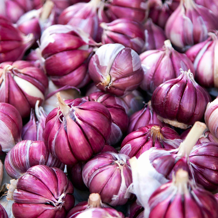 A close-up pile of whole garlic bulbs with deep purple-red skins.