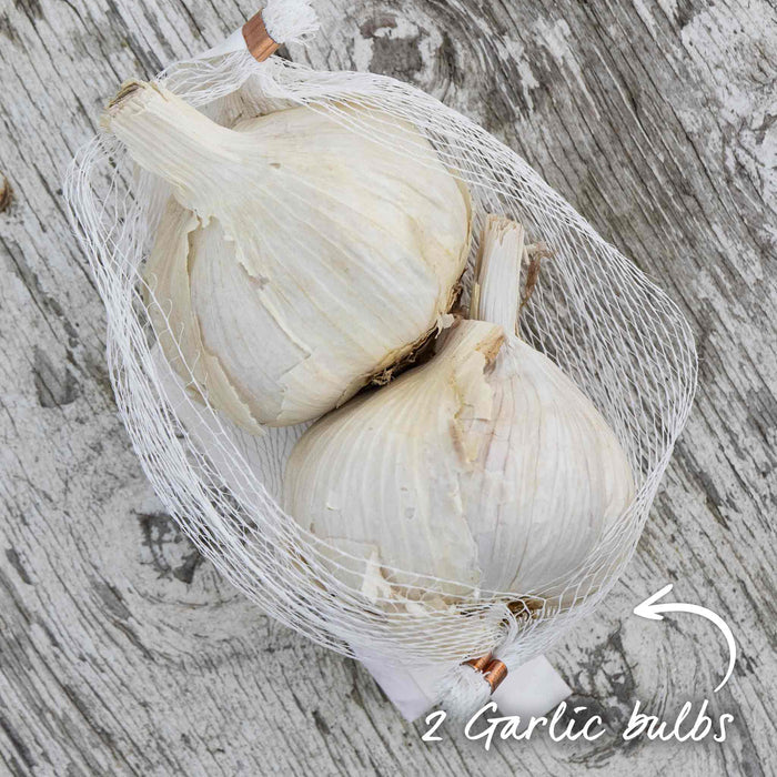 Two garlic bulbs in a mesh bag on a wooden surface.