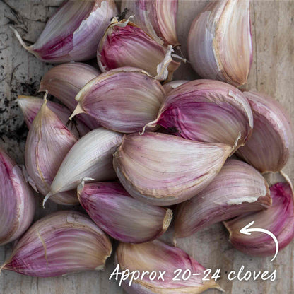 Garlic bulbs with a focus on quantity text on a wooden surface.