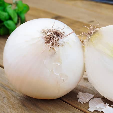 Autumn Planting Pre-Rooted Onion 'Snowball'