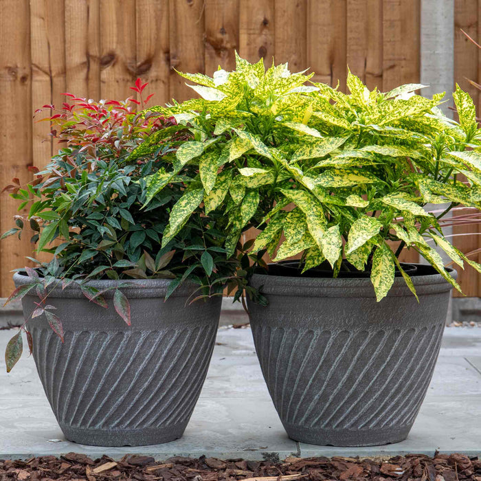 Bali Planter in Distressed Cedar 16in