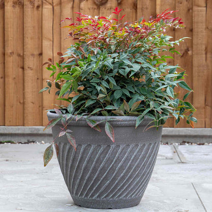 Bali Planter in Distressed Cedar 16in