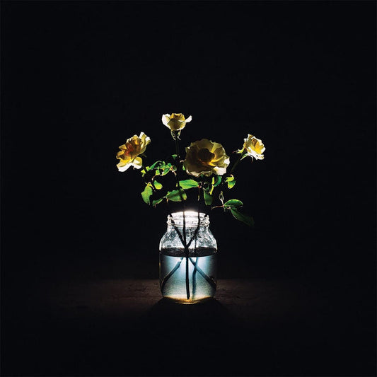 BILLY STRINGS: RENEWAL VINYL LP