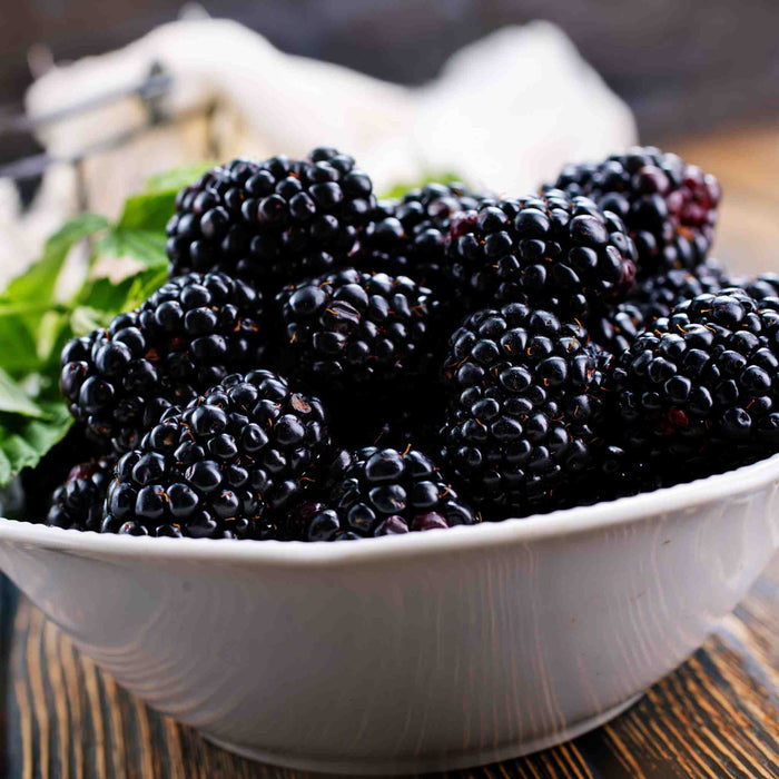 Blackberry 'Chester Thornless'
