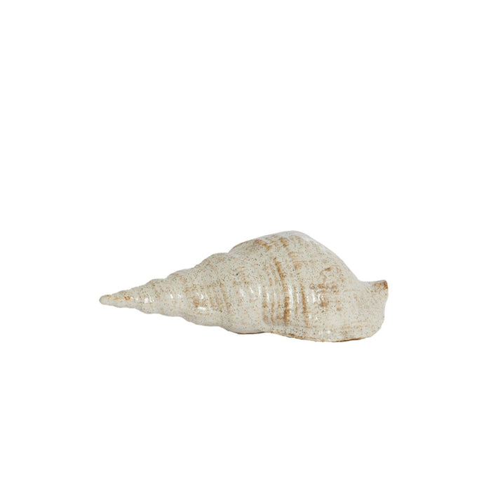 Blaire Decorative Cream Shell Ornament Accessories