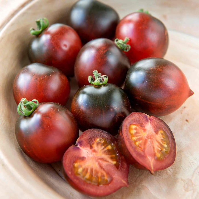 Bush Tomato 'Indigo Cherry Drops'