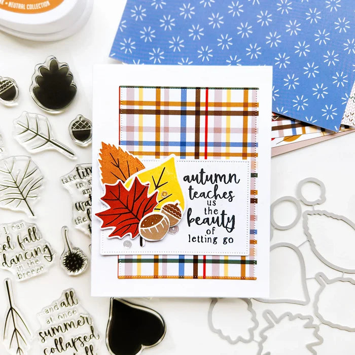 Catherine Pooler - Stamp & Die Set - Changing Leaves. Perfect mid-sized leaves for all your cards and scrapbook pages. Includes 5 solid stamp leaves with separate vein and stem stamps. Includes an acorn, gumball and chestnut to add to your fall card. Available at Embellish Away located in Bowmanville Ontario Canada. Card example by Catherine Pooler Designs.