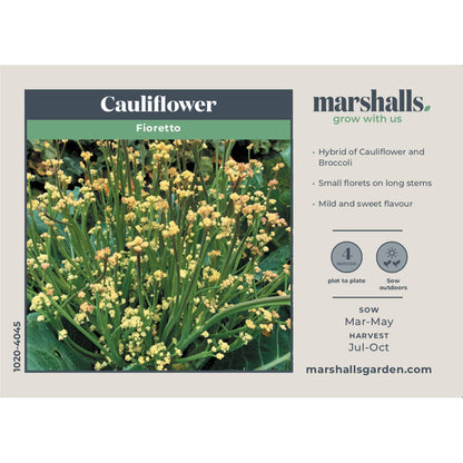 Cauliflower Seeds 'Fioretto'