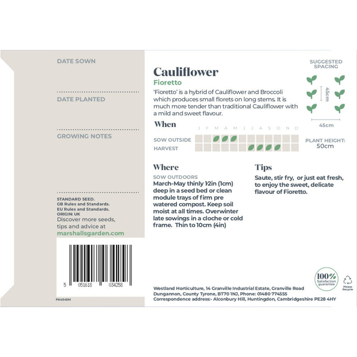 Cauliflower Seeds 'Fioretto'