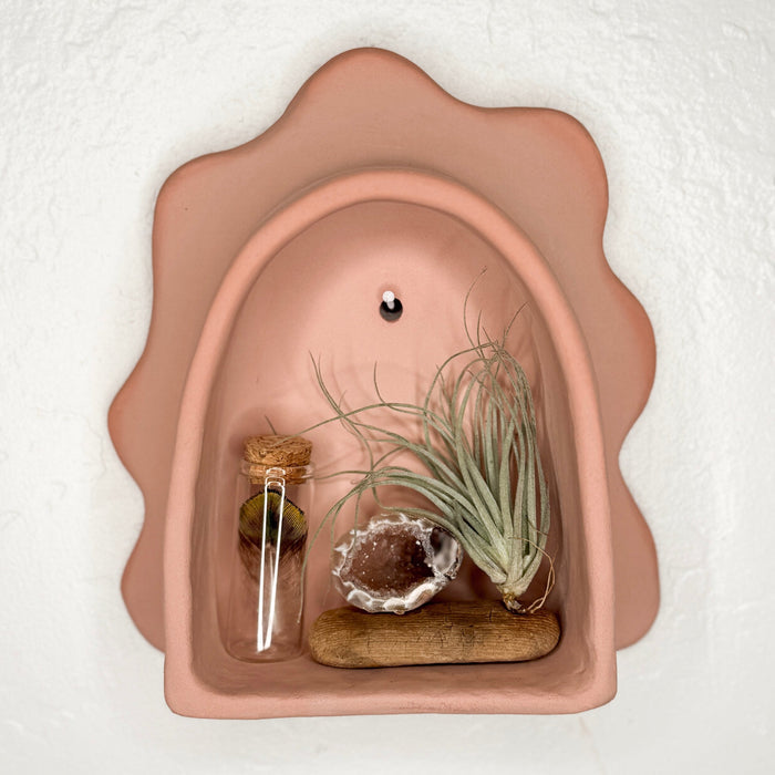 Pink petal-shaped arch wall decor with mini glass bottle and air plant