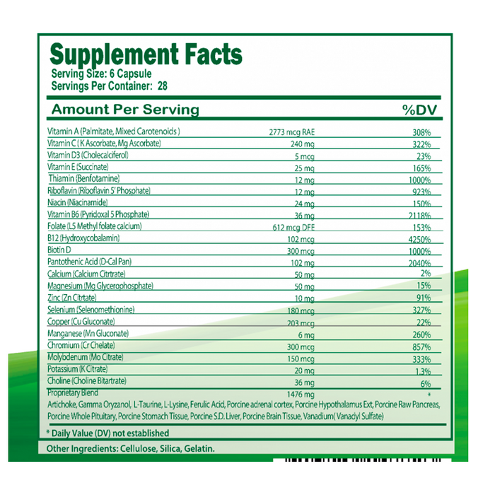 CGF (Complete Glucose Formula) by Zorex
