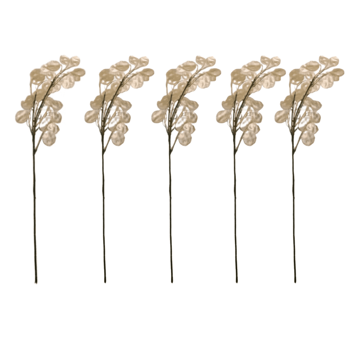 Champagne Faux Honesty Single Stem - Set of 5 Accessories