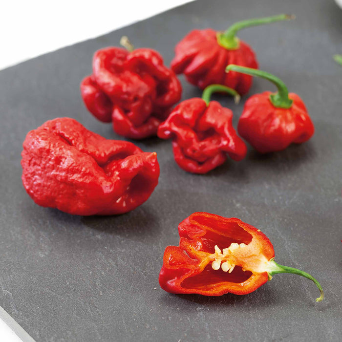 Chilli Flavour Collection 'Hot Mild Smoky'