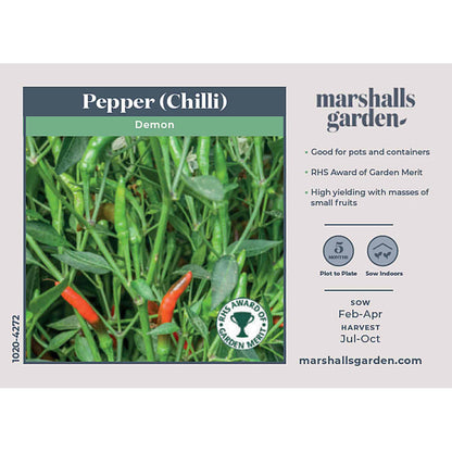 Chilli Seeds 'Demon'