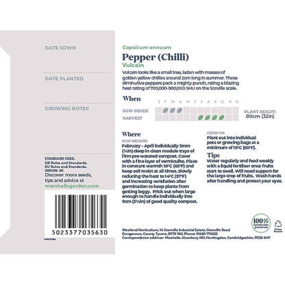 Chilli Seeds 'Vulcain'