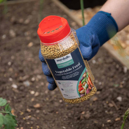 Concentrated Slow Release Vegetable Feed Granules