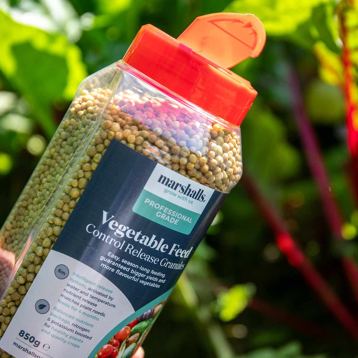 Concentrated Slow Release Vegetable Feed Granules