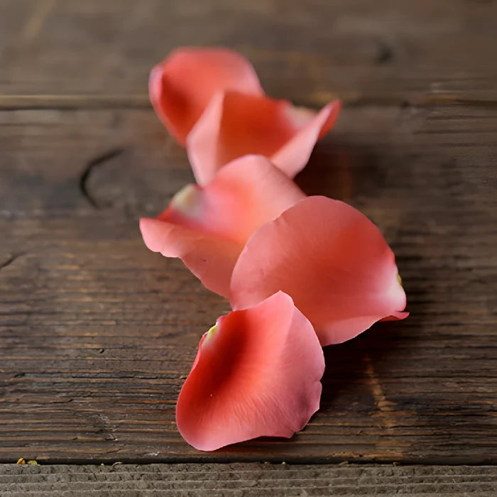 Coral Real Rose Petals