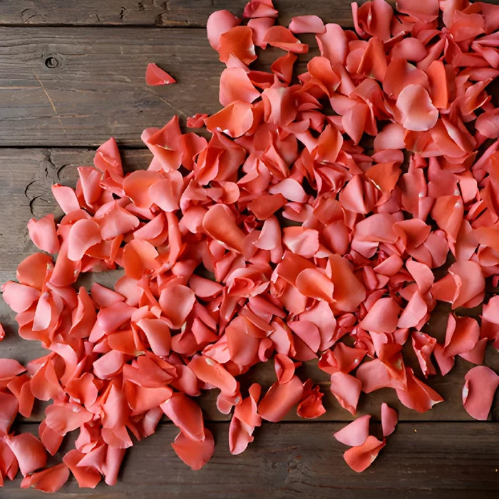 Coral Rose Petals for sale