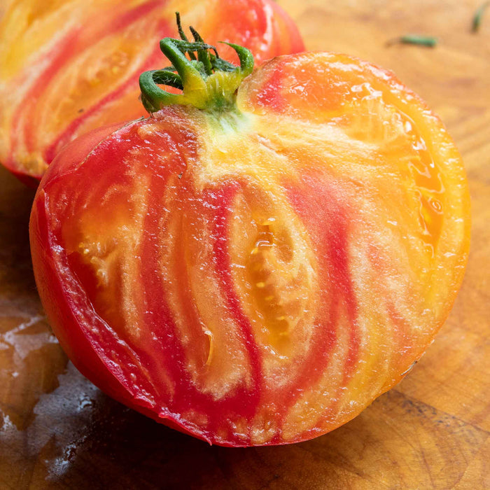 Cordon Tomato 'Gourmansun'