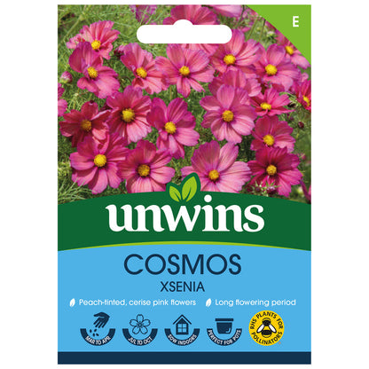 Cosmos Seeds 'Xsenia'