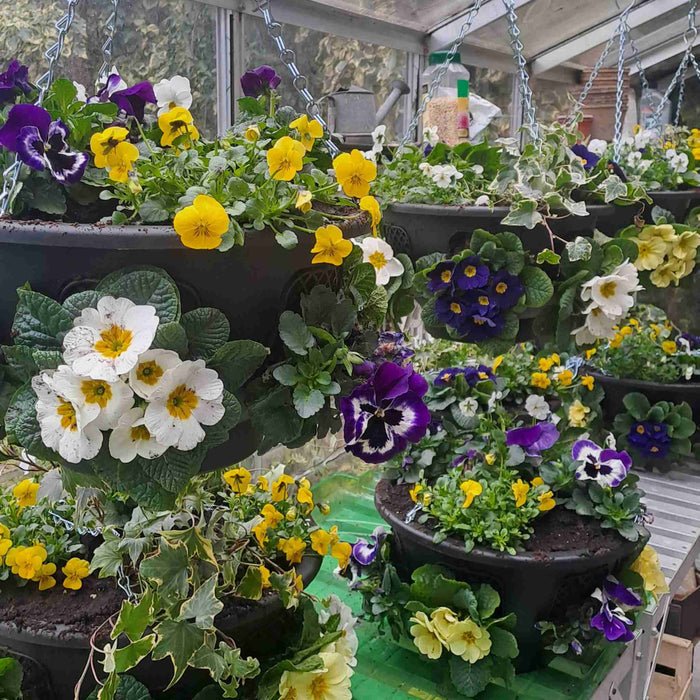 Easy Fill Hanging Basket in Black