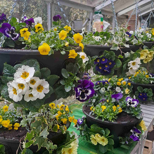Easy Fill Hanging Basket in Black