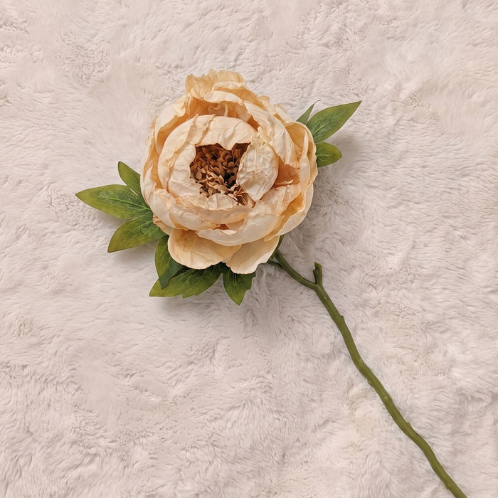 Faux Oyster Dried Touch Closed Peony Single Stem Floral Accessories