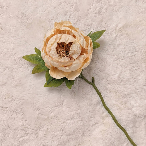 Faux Oyster Dried Touch Closed Peony Single Stem Floral Accessories