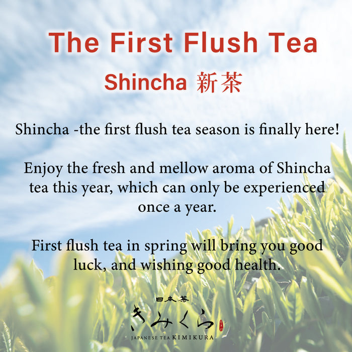 [First Flush Tea] WAKATSUMI by KIMIKURA -Deep Steamed Green Tea