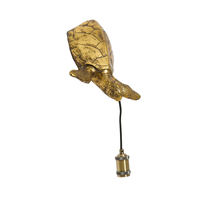 Gigi Brass Decorative Turtle Wall Light Lighting