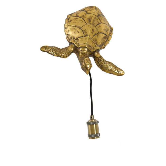 Gigi Brass Decorative Turtle Wall Light Lighting